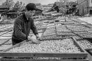 茯苓干燥易碎裂吸湿怎么办？茯苓烘干机助力企业规?；?