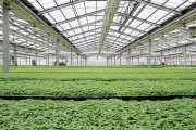 除湿器如何解决高湿度、多种危害的温室除湿问题？